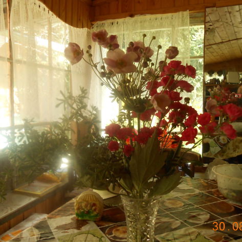 Валентина Майданская