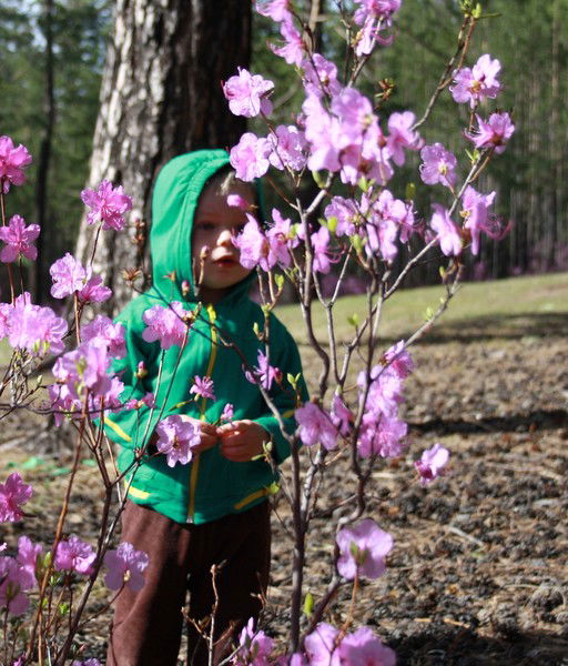 Борис Лавров