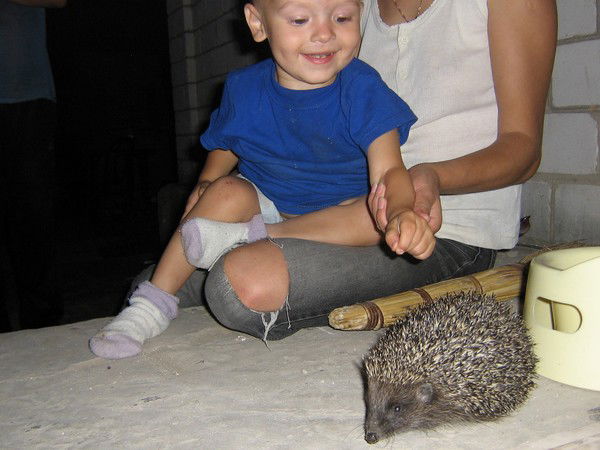 Игорь Кобрин