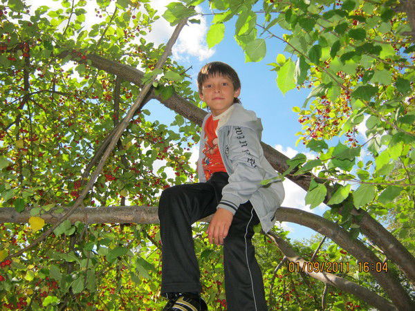 Роман Богданов