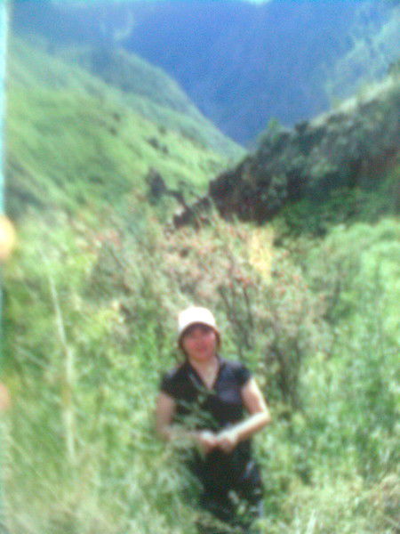 Гулдана Уразова