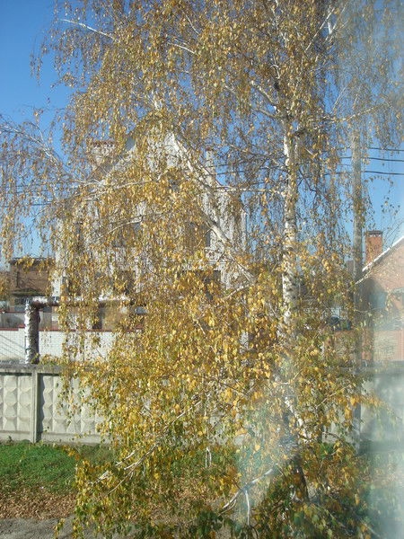 Ооо "нар-Юг" Ооо "нар-Юг"