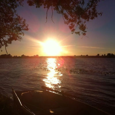 Елена Граевская