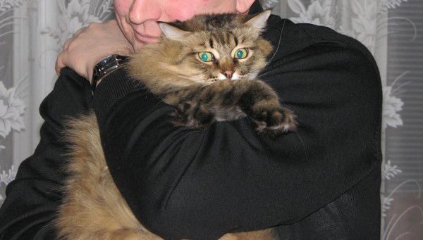 Сергей Власов