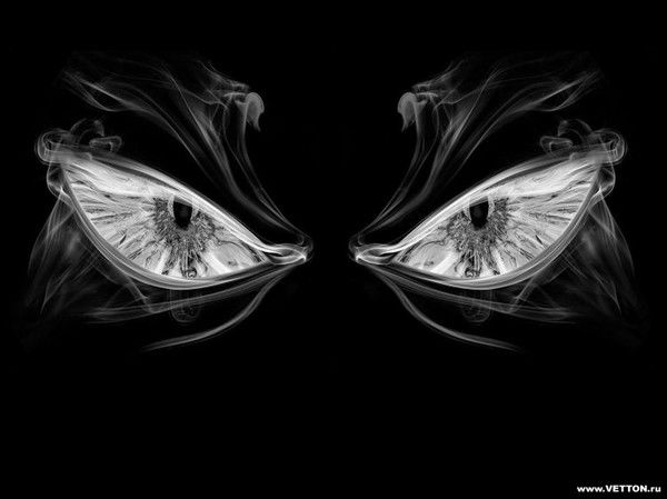 Андрей Николаевич