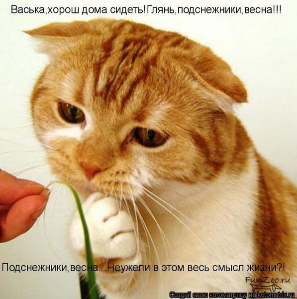 Денис Карпов