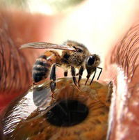 Евгеній Михальчук