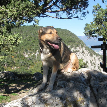 Виктор Федоров