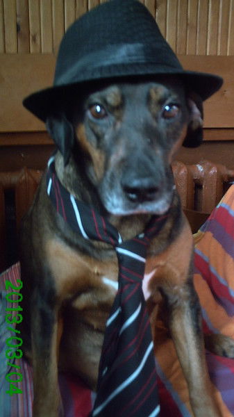 Ирина Самсонова