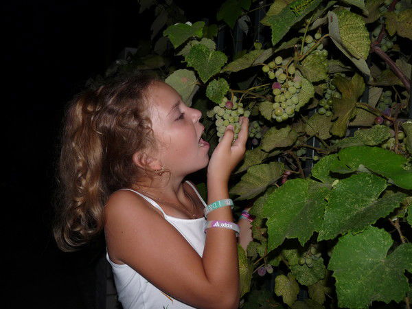 Оксана Безрукова