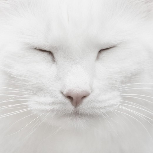 Ирина Каткова