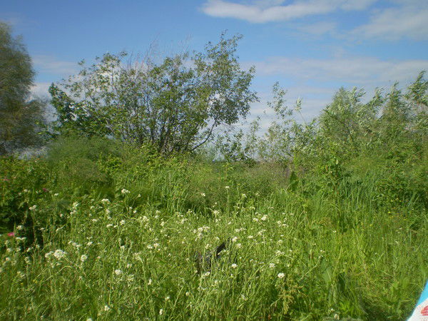 Фарида Гарипова