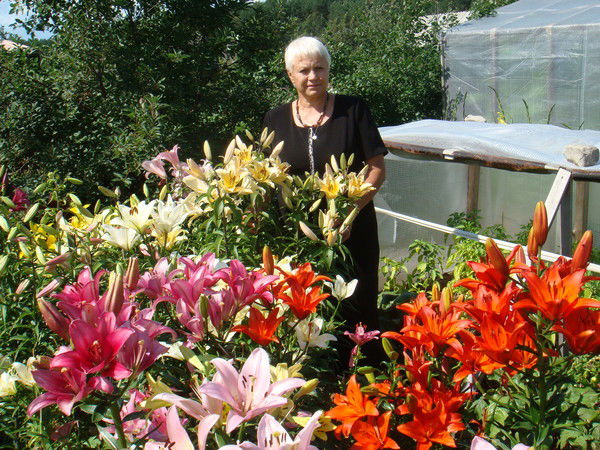 Наталья Шаламова (Меркулова)