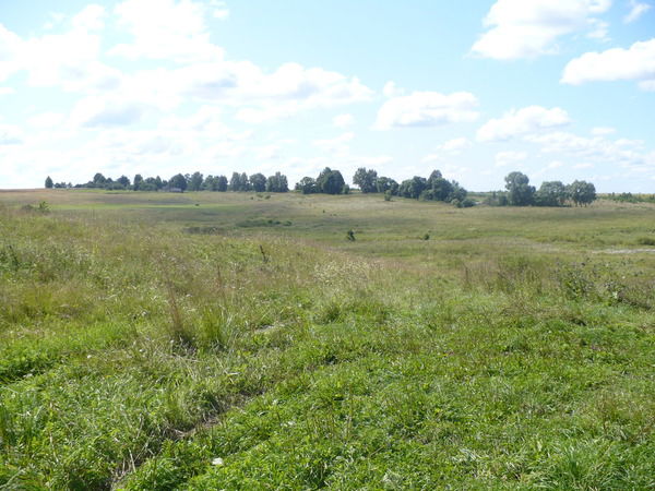 Антон Кабышев