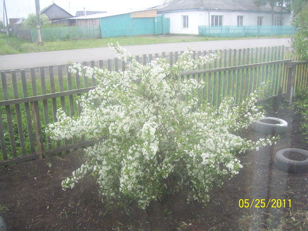 Наталья Кузьмичёва