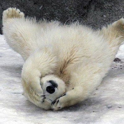 Владислав Викторович