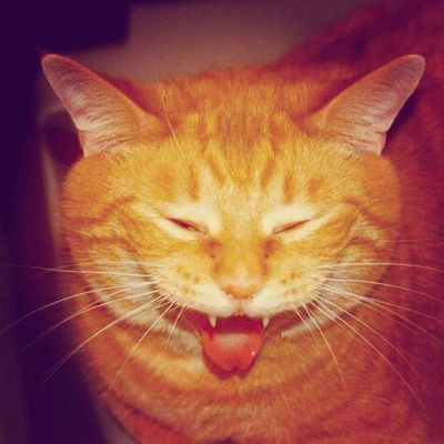 Даша Коннова