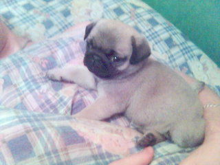 Людмила Князькова