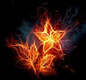 Максим Гирусов