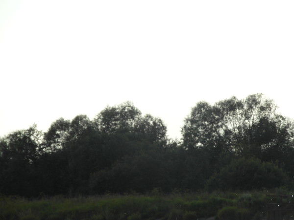 Карина Филипова