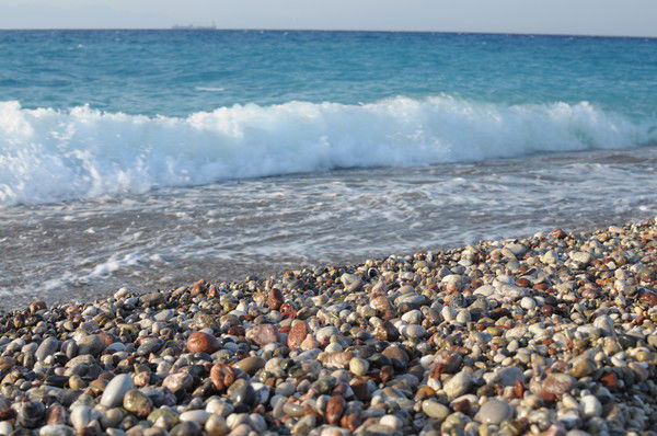 Захарова Олеся