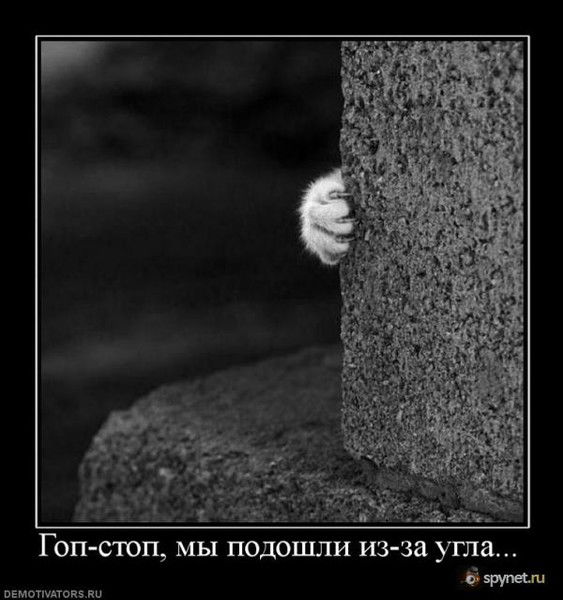 Кирилл Норкин