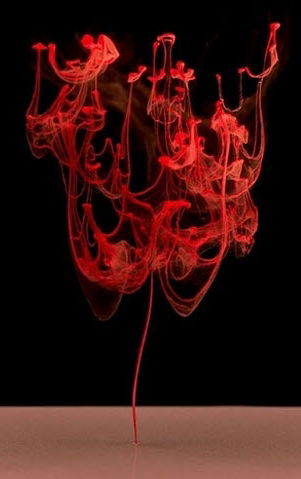 Сусса Египетская