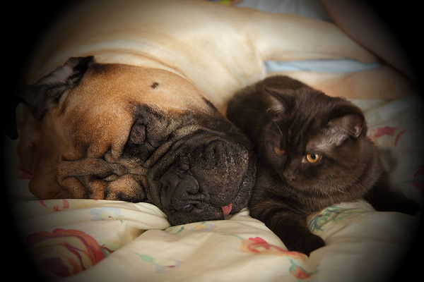 Сергей Чамин