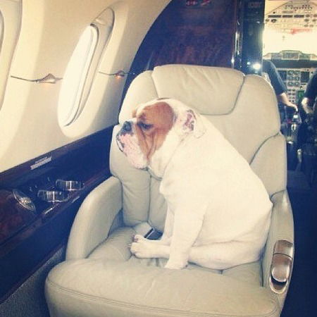 Дарина Михалёва