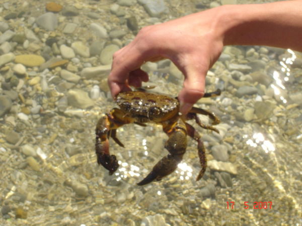 Андрей Реутский