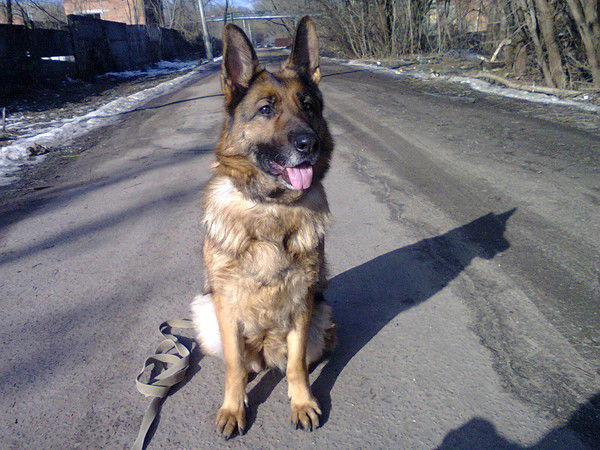 Чинара Куттубаева