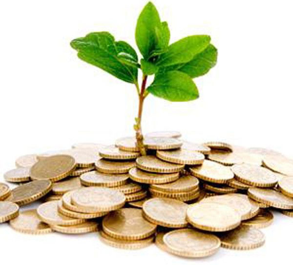 Наталья Левитас