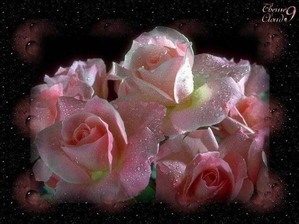 Анастасия Кучеренкова