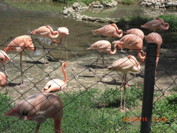 Мадина Данаева