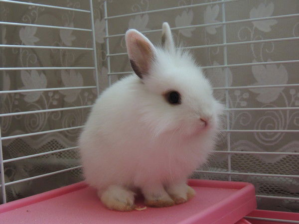 Алексей Хайдуков