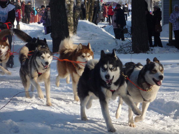Валентина Жуковская