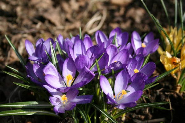 Татьяна Ветрова