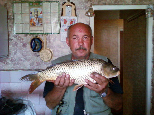 Анатолий Алексеевич Тесницкий