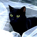 Дамир Балтагожин