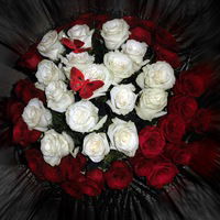 Яська Кемінь