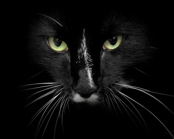 Дарья Галаган