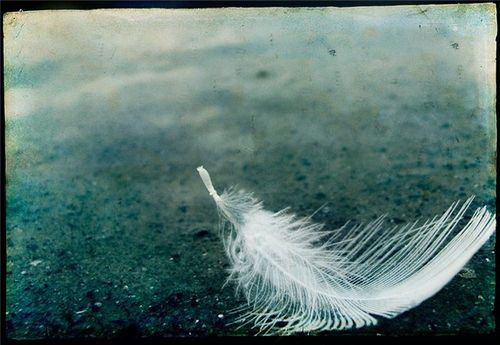 Неточка Незванова