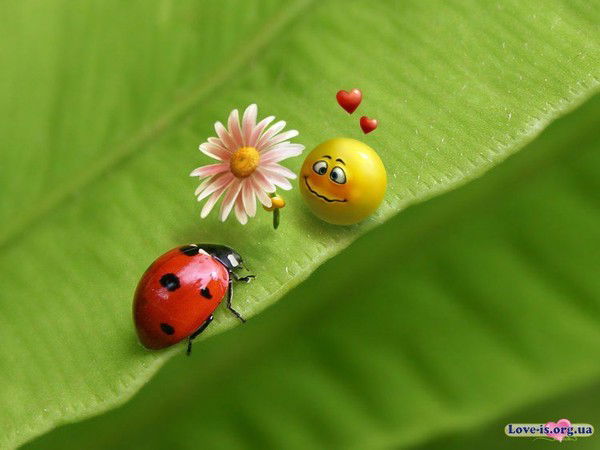 Вероника Резниченко