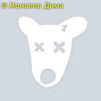 Дима Моисеев