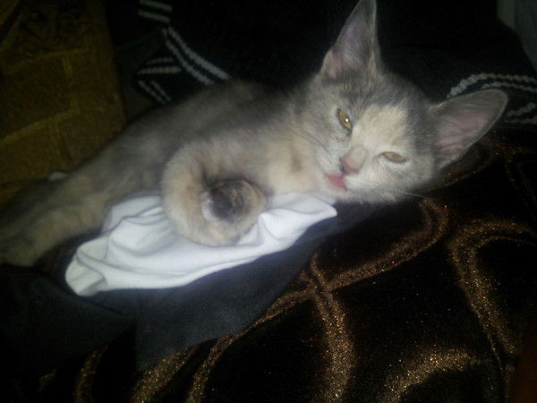 Руслан Исабаев