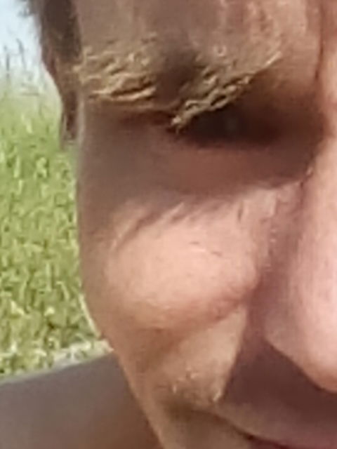 Дмитрий Крылов