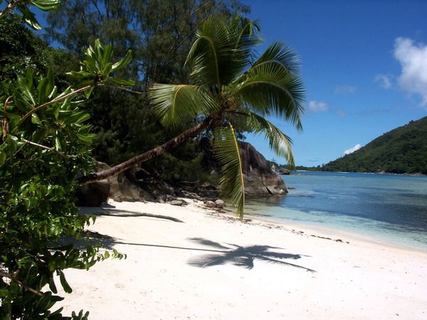 Дина Лобанова