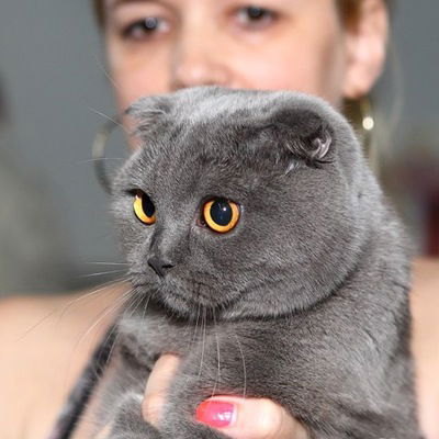 Елена Лагута