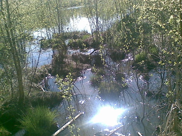 Ирина Едемская