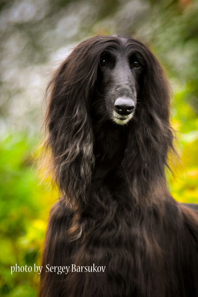 Оля Черемисова